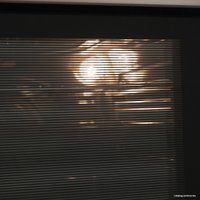 Газовый духовой шкаф MAUNFELD MGOG 673S