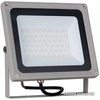 Уличный прожектор Elektrostandard 006 FL LED 50W 6500K IP65