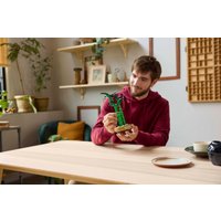 Конструктор LEGO The Botanical Collection 10344 Счастливый бамбук