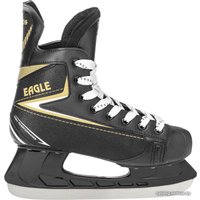 Коньки Ricos Eagle PW-206AJ (р.41, черный)