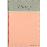 Ежедневник Darvish DV-11596