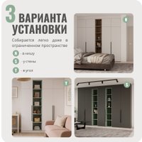 Шкаф распашной Рэйгрупп Рэй S262-В6-2-EB В6-2 (дуб элисон/белый премиум)