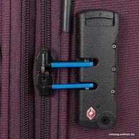 Чемодан-спиннер Francesco Molinary 111-22039W/3-24PRP (фиолетовый)