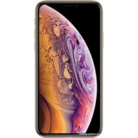 Смартфон Apple iPhone XS 256GB (золотистый)