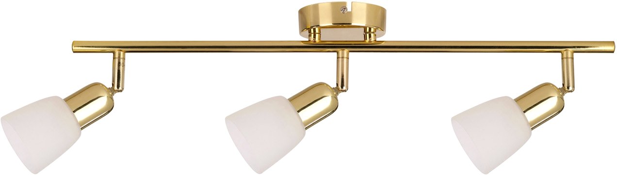 

Спот Escada 5039/3PA E14*40W Gold/White