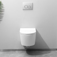 Унитаз подвесной Brunnen WAL BW-2401