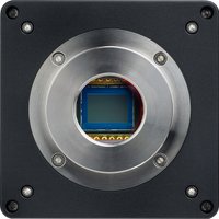  Magus CLM50 83207