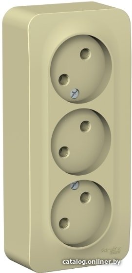 Розетка Schneider Electric BLNRA000317
