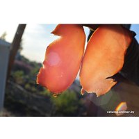 Дымогенератор Емколбаски ЕМ1 холодного дыма в Витебске