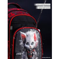 Школьный рюкзак SkyName R3-271 + брелок мишка