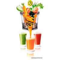 Соковыжималка Tefal ZC255B38