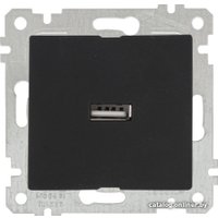 Розетка USB Mutlusan 2200 448 0184