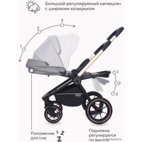 Универсальная коляска Rant MOWbaby Zoom PU (2 в 1, gold beige)