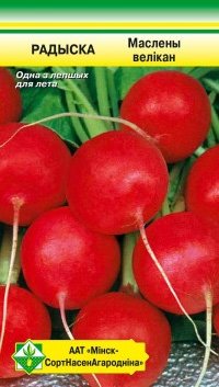 

Семена МинскСортСемОвощ Редис Масляный великан 3 г