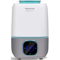 Увлажнитель воздуха Taurus Brume Paradise