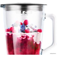 Стационарный блендер CENTEK CT-1326