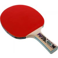 Набор для настольного тенниса Donic-Schildkrot Legends 800 788488
