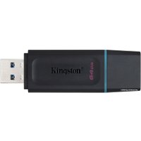 USB Flash Kingston Exodia 64GB
