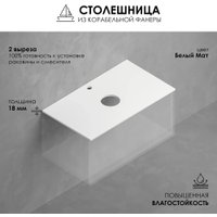 ЗОВ Тумба для ванной Дион 60 со столешницей D60LWP0M9003MKV5-T595C2 (белый матовый)