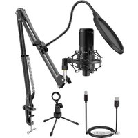 Проводной микрофон FIFINE F1 в Пинске