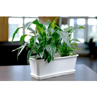 Горшок Idi Land Basil 221600629/01 (белый)