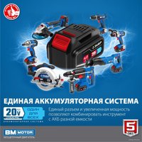Ударная дрель-шуруповерт Зубр Профессионал DBS-201-22 (с 2-мя АКБ, кейс)