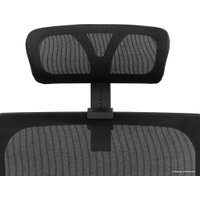 Офисное кресло Evolution Supreme Comfort (черный)