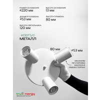 Припотолочная люстра TruEnergy 21491