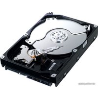 Жесткий диск Samsung SpinPoint F1 320Гб (HD322HJ)