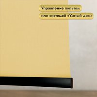 Рулонная электроштора НеоФьюжен Эден 200 220х200 правая (медовый, черная фурнитура)