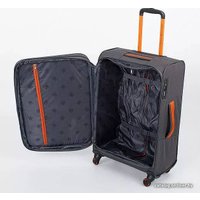 Чемодан-спиннер Francesco Molinary 270-29111/3-24 (серый)