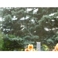 Робот для мытья окон Hobot 168