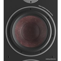 Напольная акустика DALI Oberon 9 (черный)