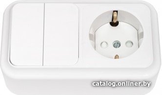 Розетка Bylectrica Пралеска 2В-РЦ-579 (белый)
