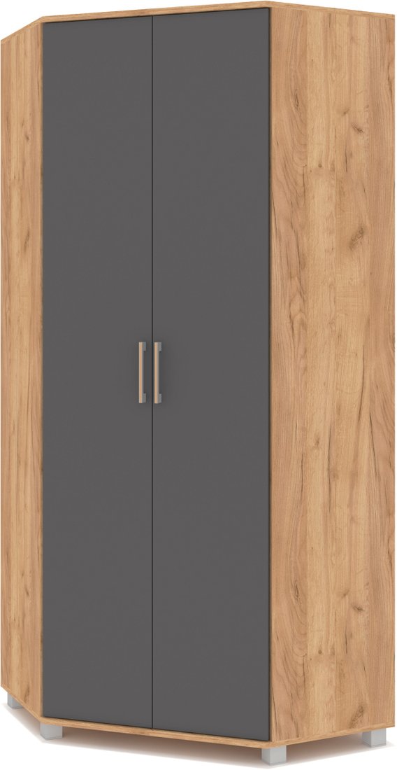 

Шкаф распашной Modern Карина К59 (золотой дуб/графит)