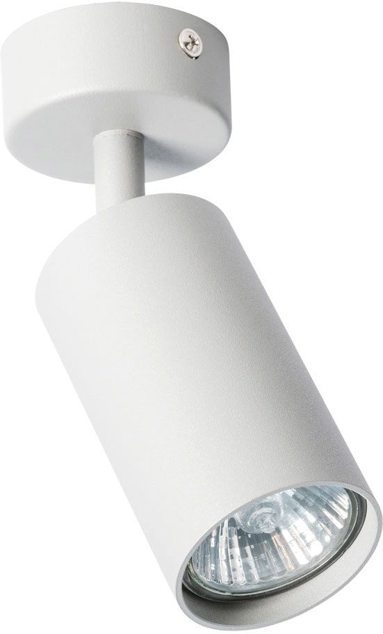 

Спот Arte Lamp Aquarius A3216PL-1GY