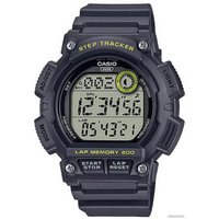 Наручные часы Casio WS-2100H-8A