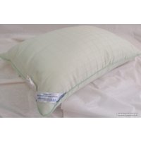 Спальная подушка Delford Эвкалипт Стандарт ПВХ 1ЭП/л-уп21 (68x68)