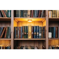 Сейф-книга BRAUBERG 12 стульев