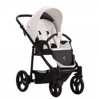 Универсальная коляска BEBETTO Explorer Air Pro (2 в 1, 01/черная рама)