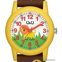 Наручные часы Q&Q V22AJ019