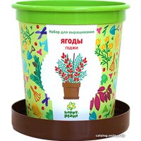 Набор для опытов Happy plant Ягоды Годжи hpn-18 в Могилеве