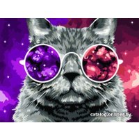 Картина по номерам Три совы Кошачий космос КХ_44089