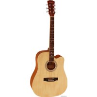 Акустическая гитара Elitaro E4120 N