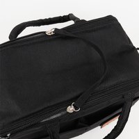 Термосумка Darvish DV-H-2315BK 7л (черный)