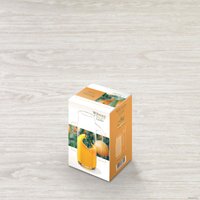 Кувшин Wilmax WL-888301/1C