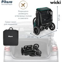 Коляска прогулочная «книга» Pituso Wicki ABF2022 (изумруд)