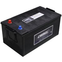 Автомобильный аккумулятор Camel EFB 6-QWD-220 euro (240 А·ч)