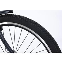 Электровелосипед MyWay Let 1.0 250 26 (19, графит)