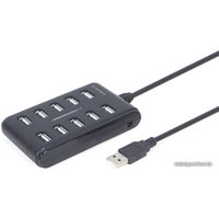 USB-хаб Gembird UHB-U2P10P-01